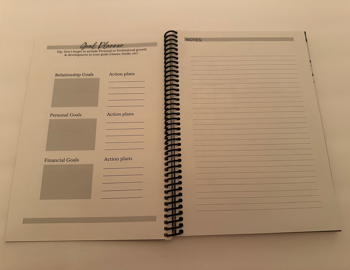 Dream, Plan, Succeed - A Goal Planner