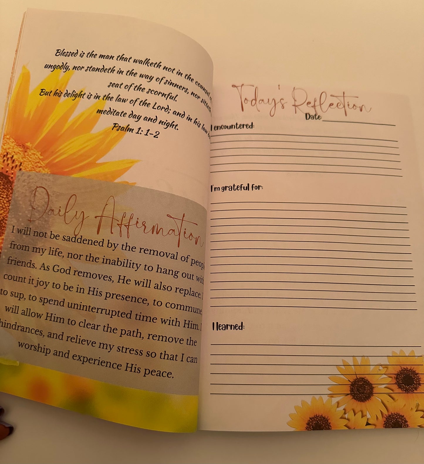 Choose Joy - A 60-Day Gratitude Journal