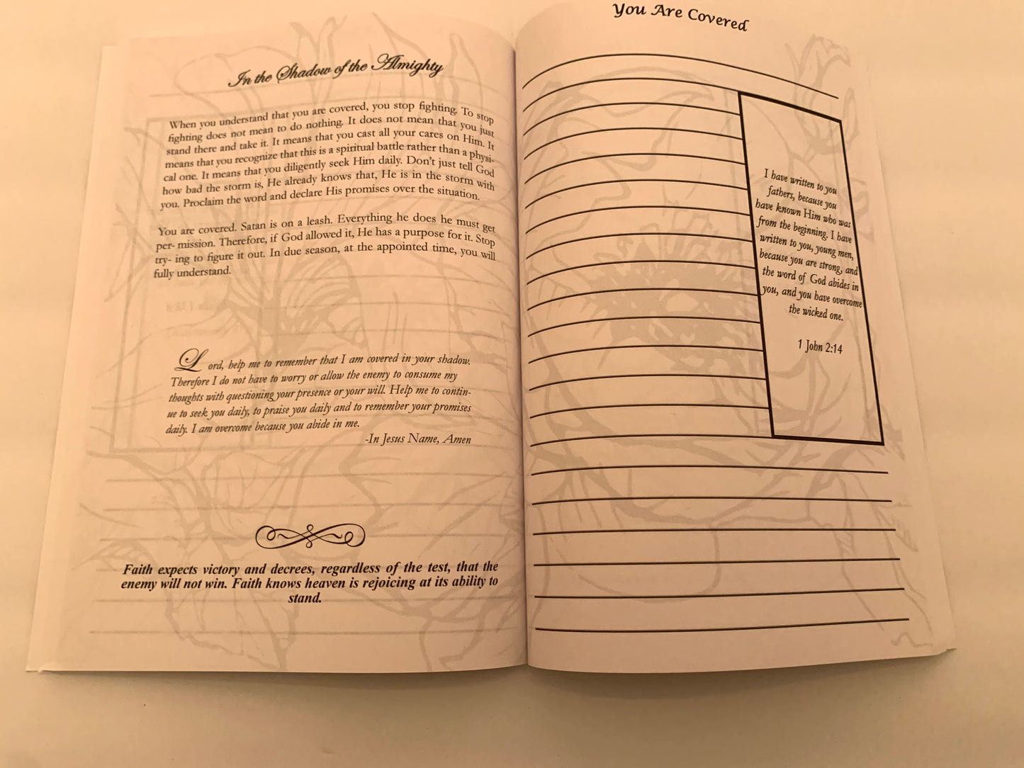 Faithing It Through: A Prayer Journal to Accompany Finding Faith - IndiWrites
