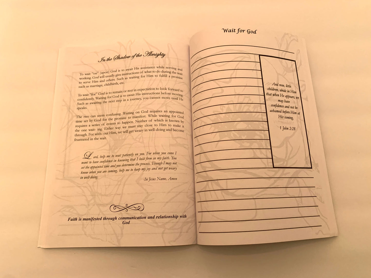 Faithing It Through: A Prayer Journal to Accompany Finding Faith - IndiWrites