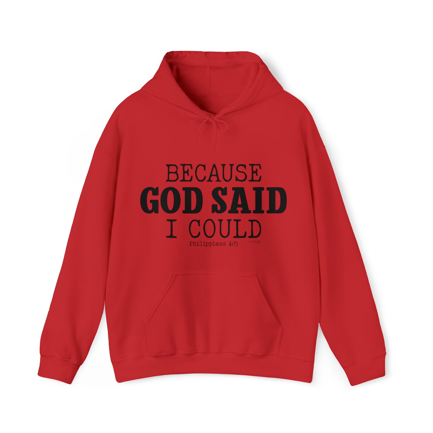 Because God Said Hoodie