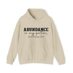 Load image into Gallery viewer, Abundance Is My Portion Hoodie
