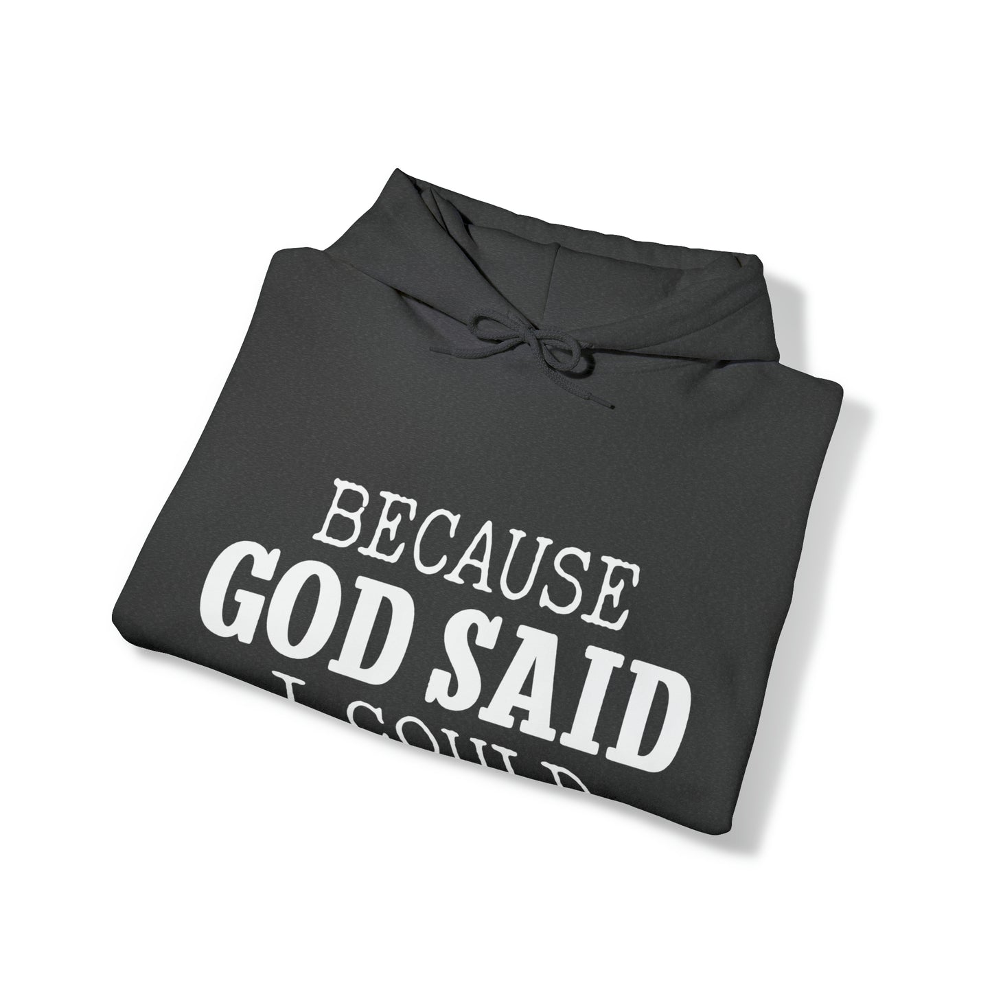 Because God Said Hoodie