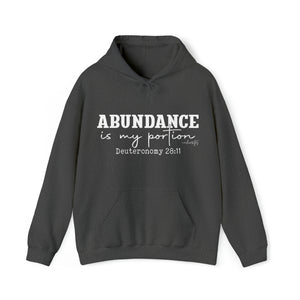 Abundance Is My Portion Hoodie