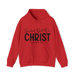 Load image into Gallery viewer, Souled Out for Christ Hoodie
