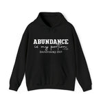 Load image into Gallery viewer, Abundance Is My Portion Hoodie
